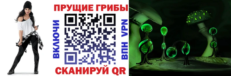 Псилоцибиновые грибы мицелий Гремячинск